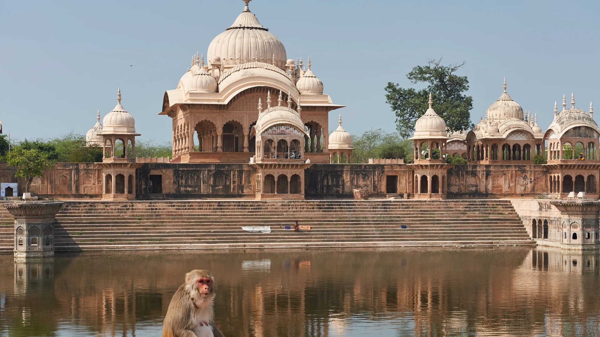 Mathura Vrindavan Local Sightseeing Tour