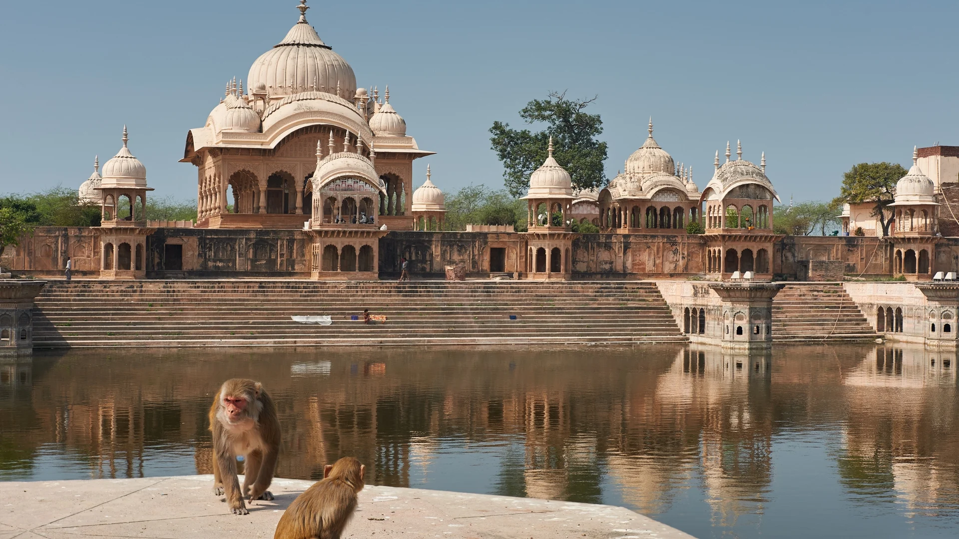 Banke Bihari Temple Vrindavan Spiritual Darshan