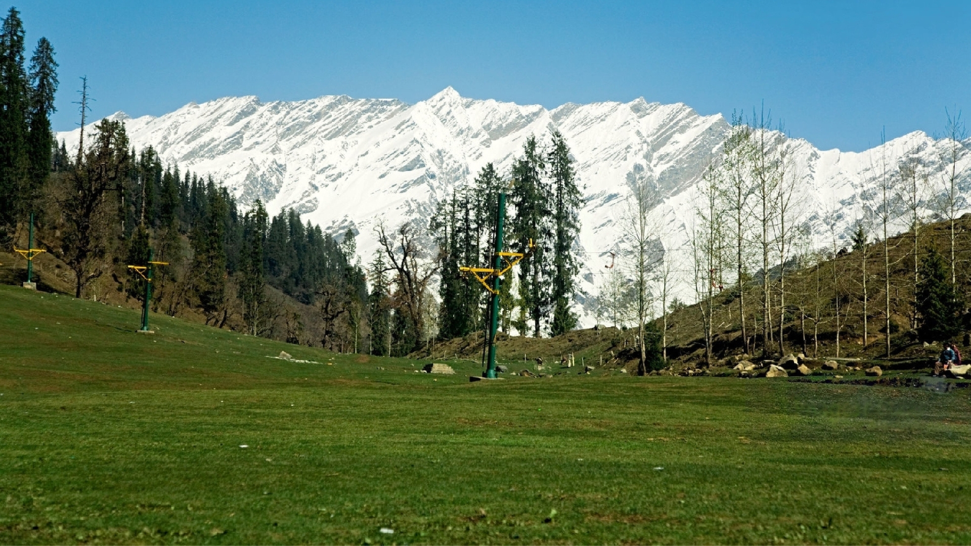 Manali River View and Pine Forest Landscape